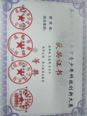 《中學(xué)生自我認(rèn)識(shí)現(xiàn)狀調(diào)查》小組研究性課題榮獲成都市一等獎(jiǎng) - 學(xué)生活動(dòng) - 思品組 - 雙流中學(xué)實(shí)驗(yàn)學(xué)校歡迎你!